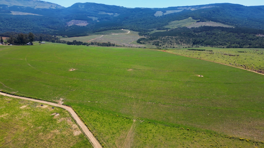 0 Bedroom Property for Sale in Stutterheim Rural Eastern Cape